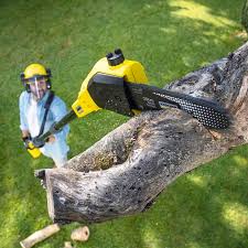 Best Tree Risk Assessment  in Cullman, AL