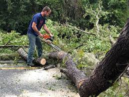 Best Aeration Services  in Cullman, AL